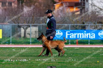 IMG_7291.jpg