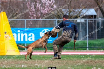 IMG_7304.jpg