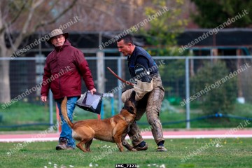 IMG_7323.jpg
