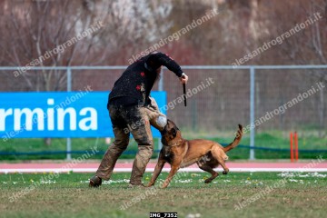 IMG_7352.jpg