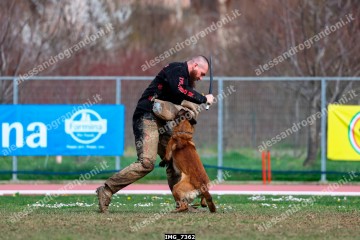 IMG_7362.jpg