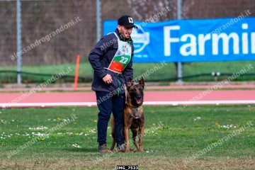 IMG_7533.jpg