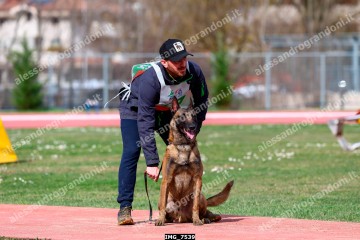 IMG_7539.jpg