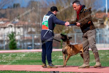 IMG_7561.jpg