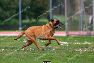 IMG_8651.jpg