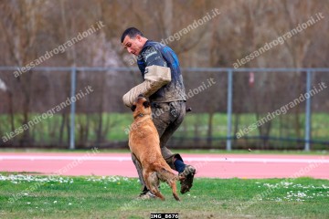 IMG_8676.jpg