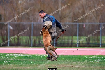 IMG_8677.jpg