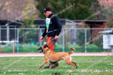 IMG_8736.jpg