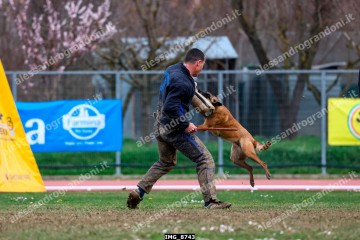 IMG_8743.jpg
