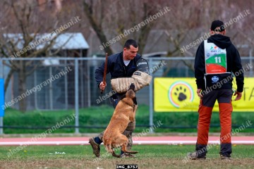 IMG_8757.jpg