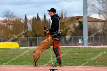 IMG_8868.jpg