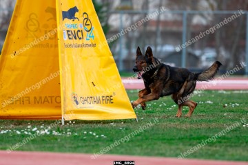 IMG_8894.jpg