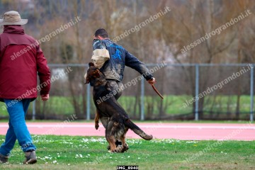 IMG_8940.jpg
