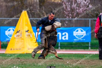 IMG_9001.jpg