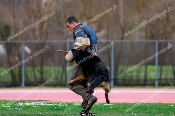 IMG_9279.jpg