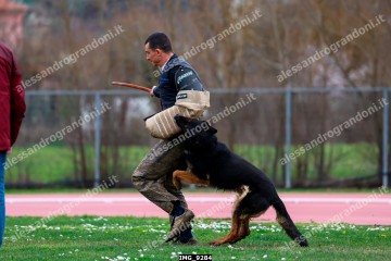 IMG_9284.jpg