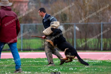 IMG_9287.jpg