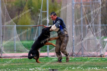 IMG_9298.jpg