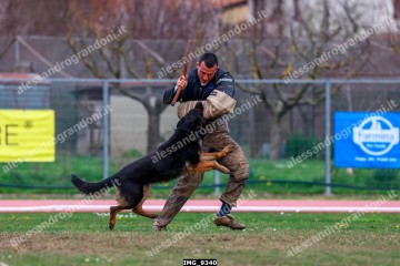 IMG_9340.jpg