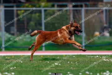 IMG_9386.jpg