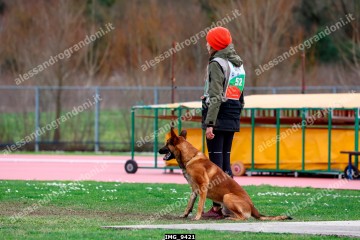 IMG_9421.jpg