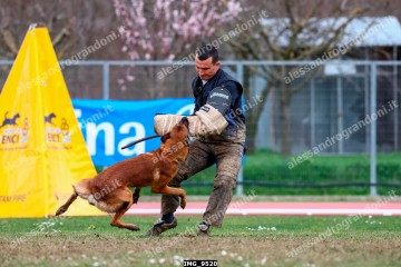 IMG_9520.jpg