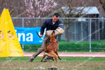 IMG_9523.jpg
