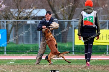 IMG_9526.jpg