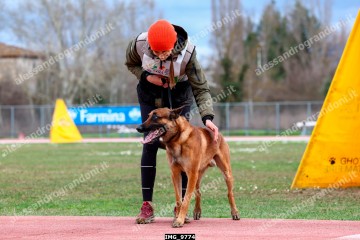 IMG_9774.jpg