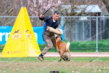 IMG_9977.jpg