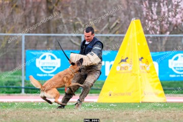 IMG_9991.jpg