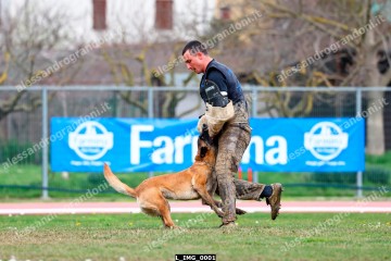 L_IMG_0001.jpg