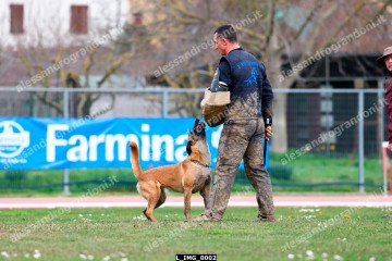 L_IMG_0002.jpg