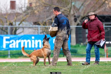 L_IMG_0003.jpg