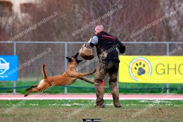L_IMG_0006.jpg