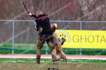 L_IMG_0007.jpg
