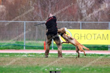 L_IMG_0008.jpg