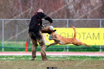 L_IMG_0009.jpg