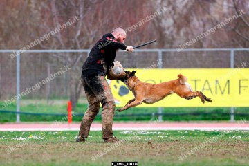 L_IMG_0010.jpg