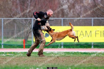 L_IMG_0011.jpg