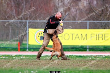 L_IMG_0013.jpg