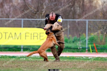 L_IMG_0016.jpg