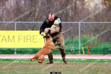 L_IMG_0017.jpg