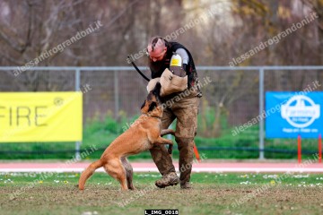 L_IMG_0018.jpg