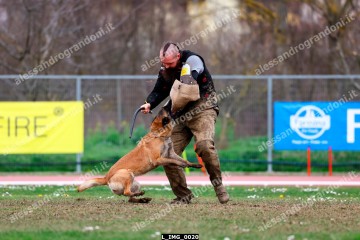 L_IMG_0020.jpg