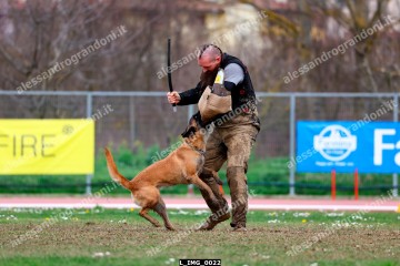 L_IMG_0022.jpg