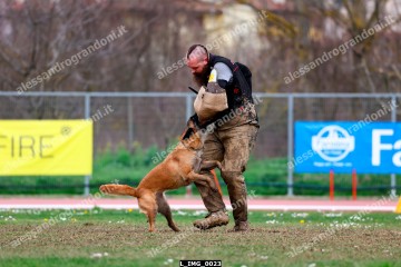L_IMG_0023.jpg