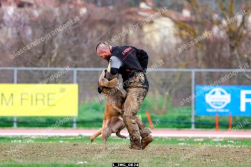 L_IMG_0024.jpg