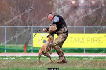 L_IMG_0029.jpg