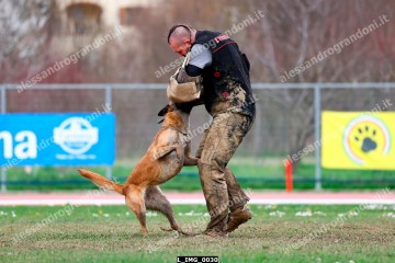L_IMG_0030.jpg